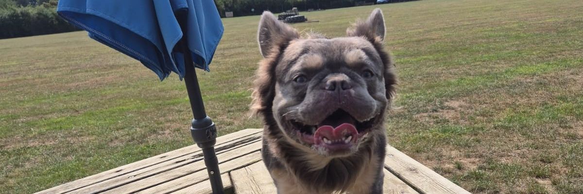OGBlue20's profile banner image
