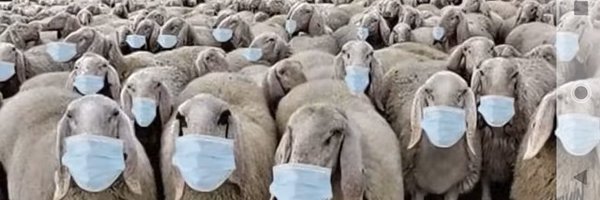 World_is_nuts Profile Banner