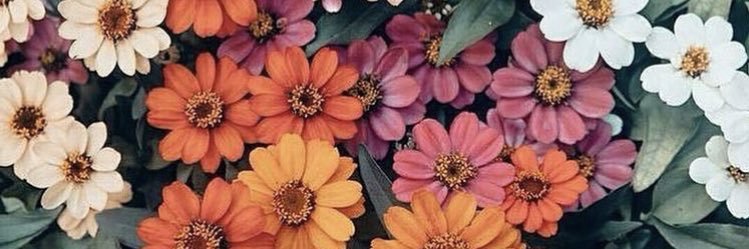 crisstinacc_'s profile banner image