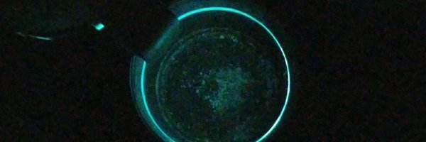 CalvinB666 Profile Banner