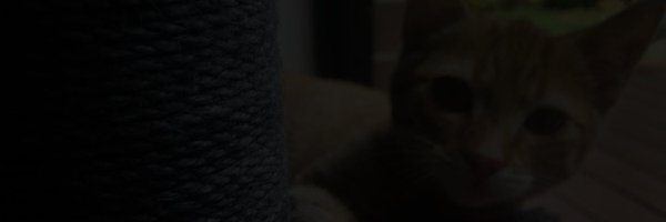 mwyres Profile Banner