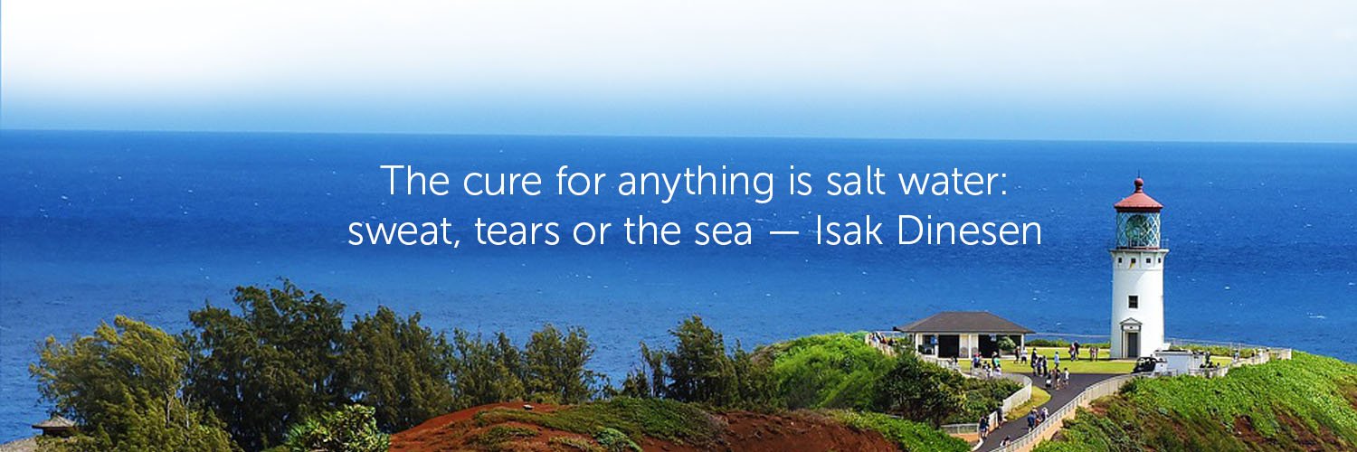Salt Water banner