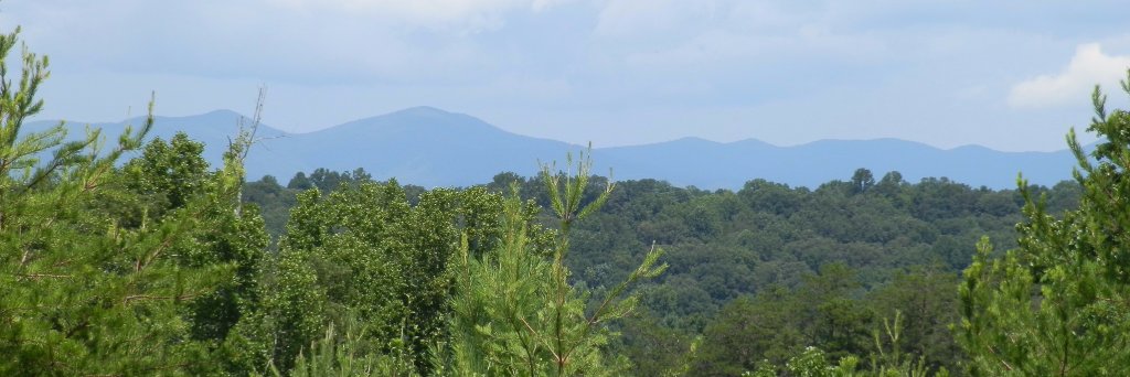 LKinnemore's profile banner image