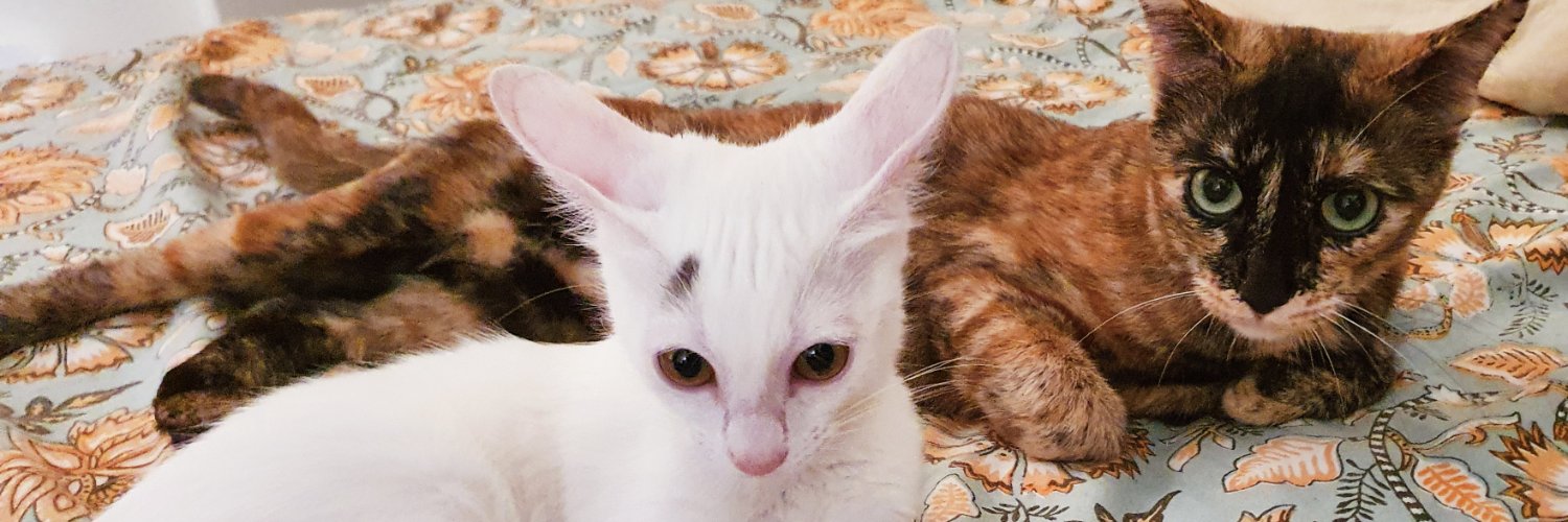 Arjunsingh023's profile banner image