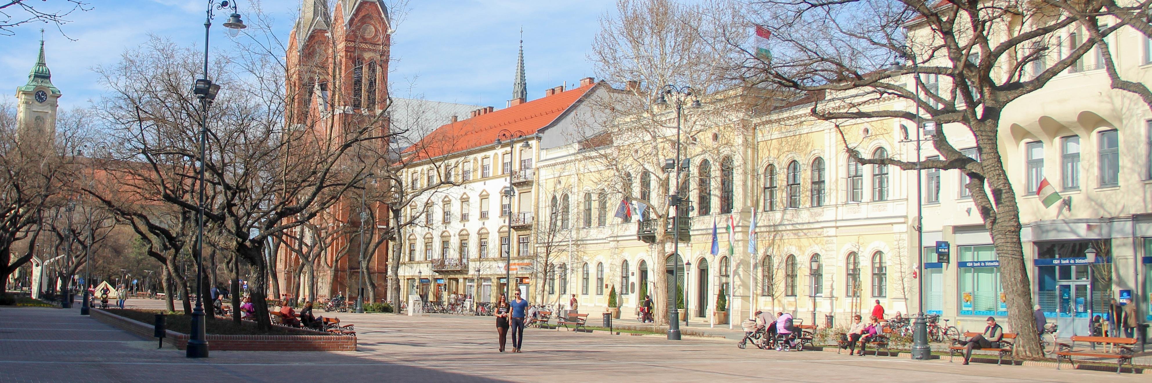 Vantara Gyula banner