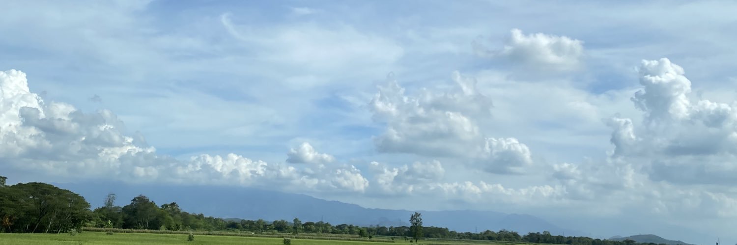 strwbrfloat's profile banner image