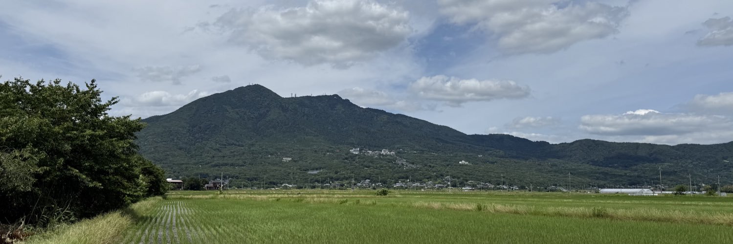RiceField_E4max's profile banner image