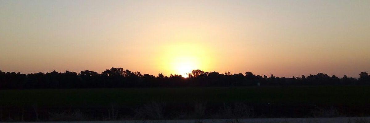 aniitarss's profile banner image