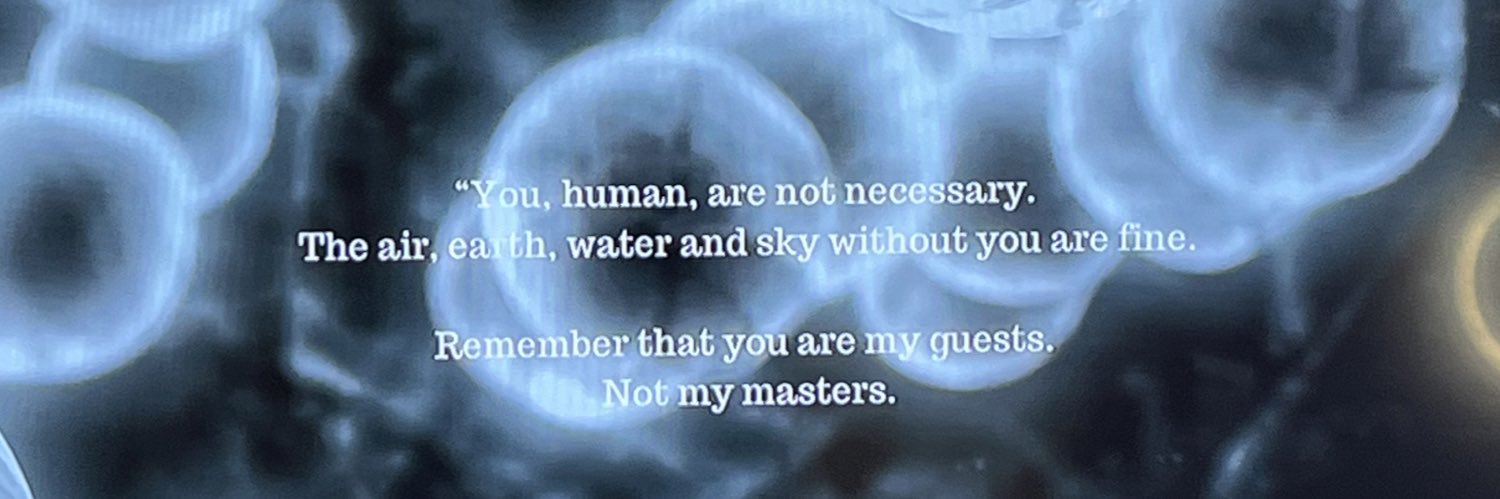 am__mel's profile banner image