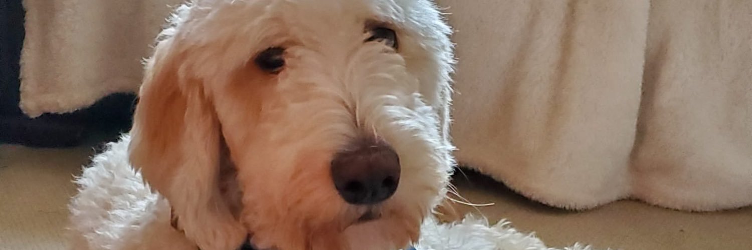 Wenchbob's profile banner image