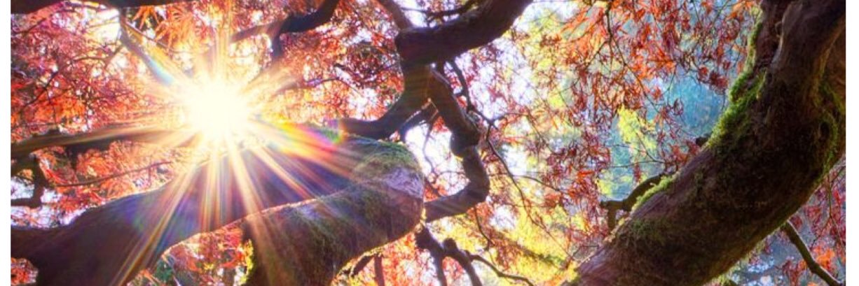 TeeSweet58's profile banner image