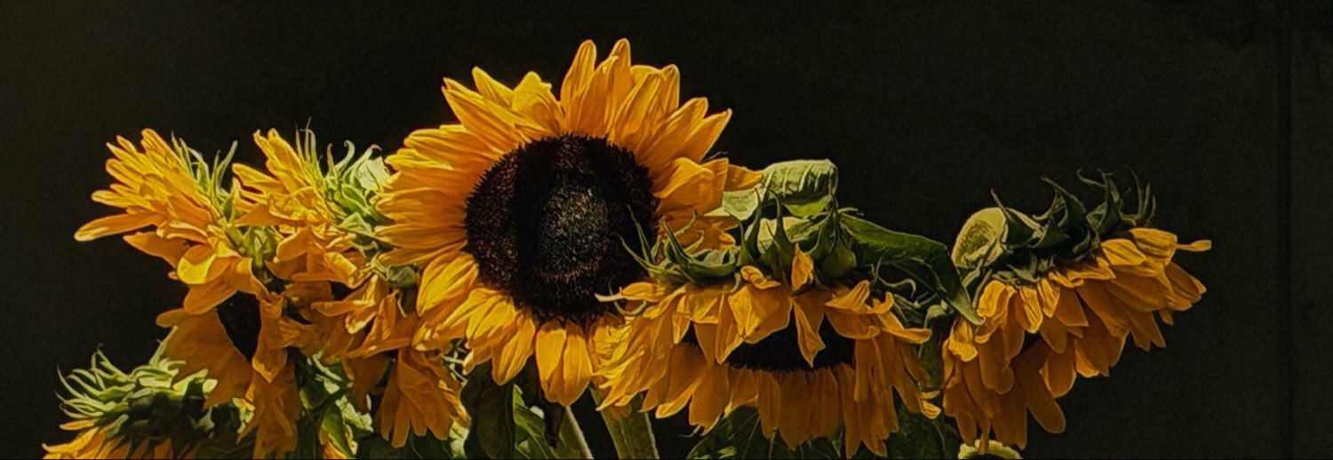zozfa_'s profile banner image