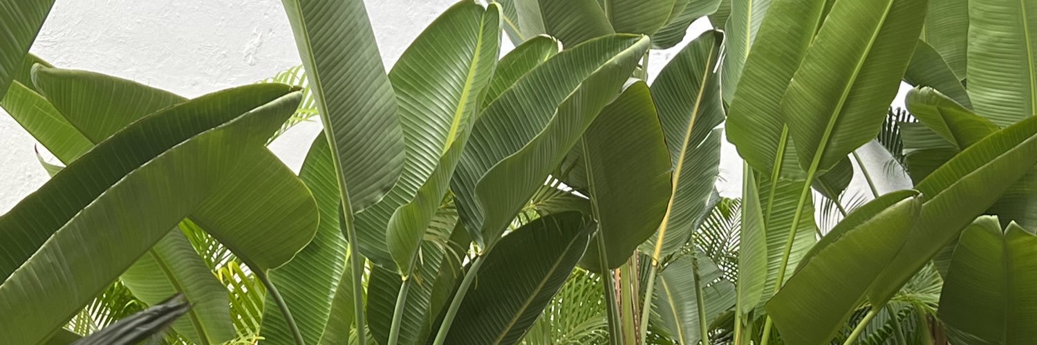 Aklovinn's profile banner image