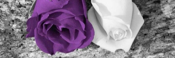 syiiee_'s profile banner image