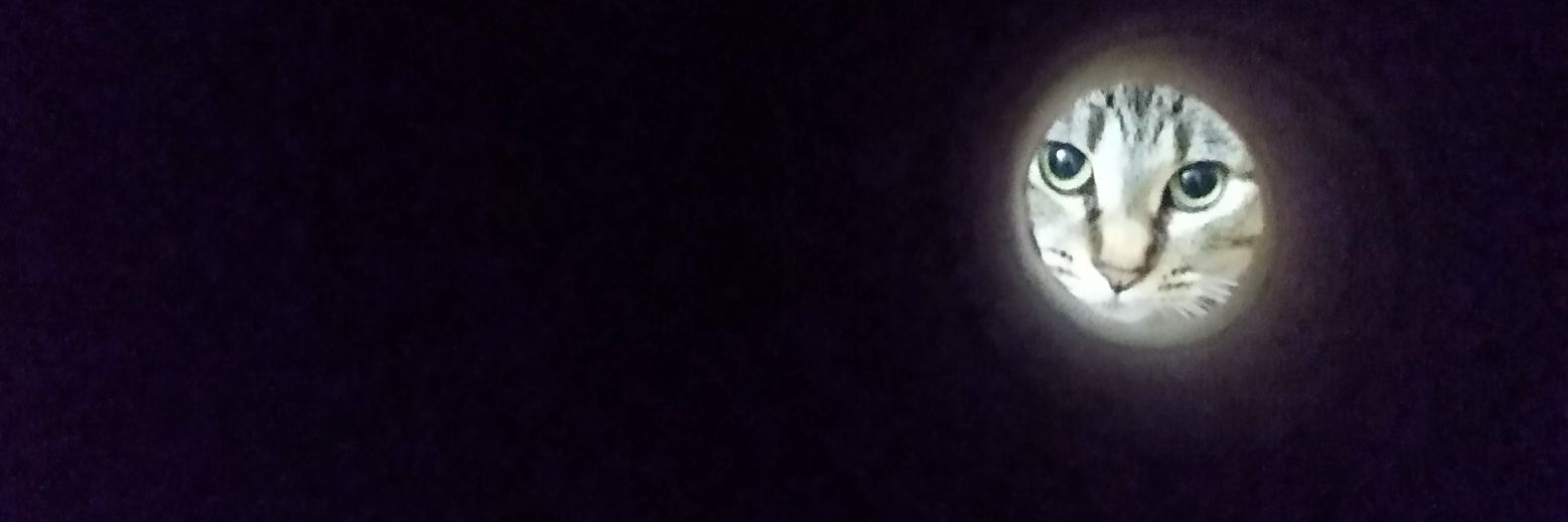 Sebamar00's profile banner image