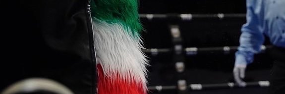 ectorleonardo's profile banner image