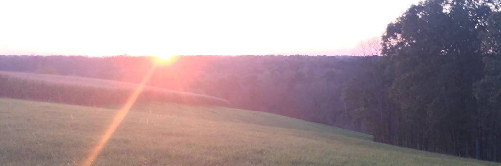 Kelsclark7's profile banner image