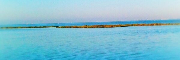 maruzafa Profile Banner