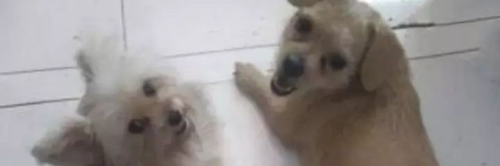 lenny___24's profile banner image