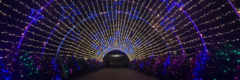 Austin Trail of Lights banner
