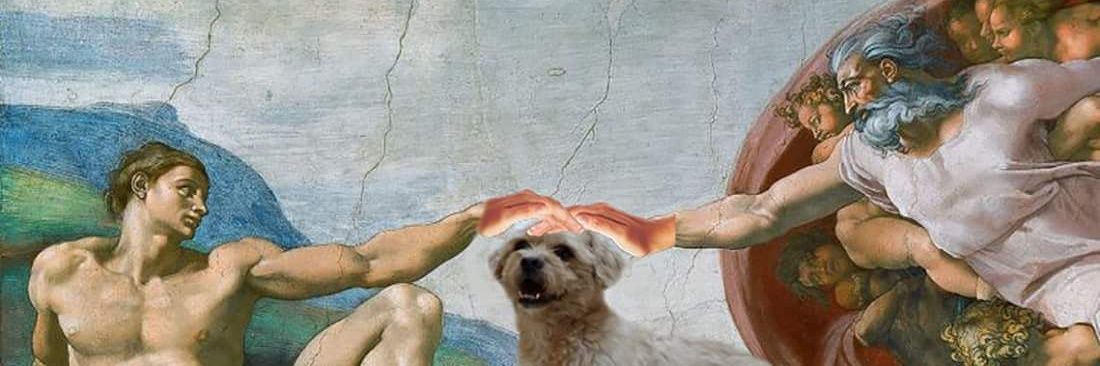 Cristofher Solís J. 🇨🇷 banner