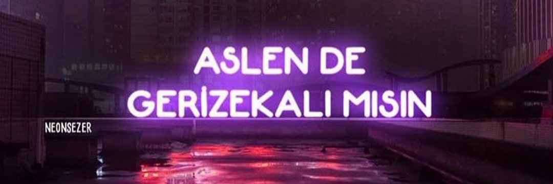 Elif Güzel banner