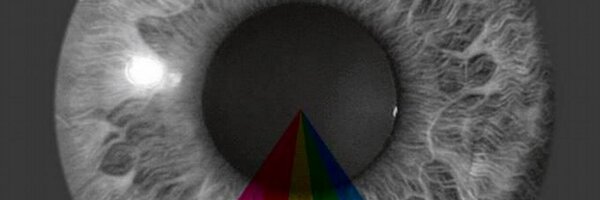 killekillberlin Profile Banner