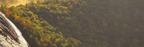 Wrangler Teacup | 1kk ❤️ Memecoin banner