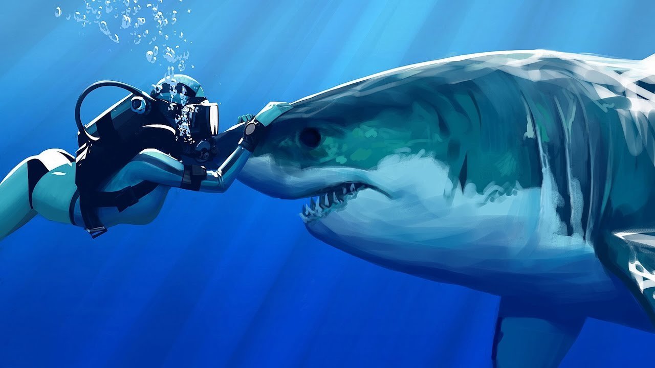 MotherOfSharks_'s profile banner image