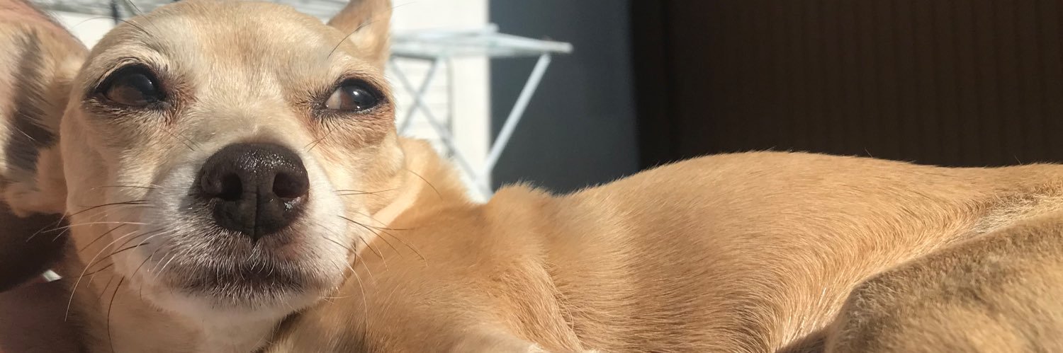 wendryus_lima's profile banner image