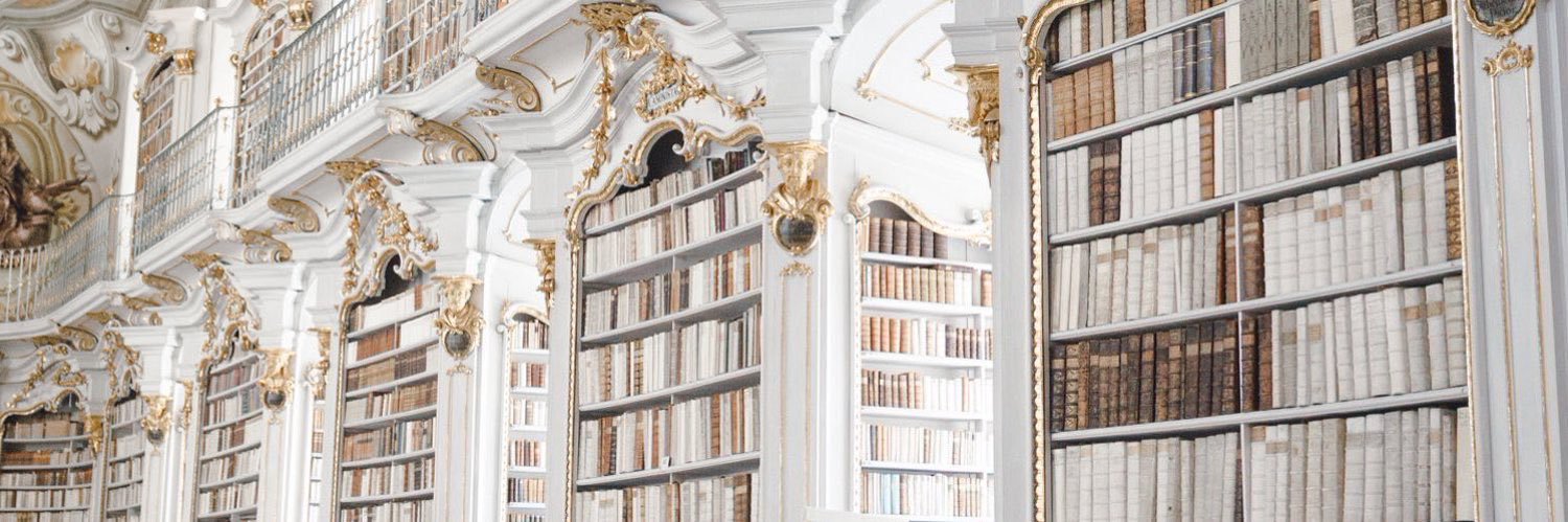 Bush🌱🎀🪞🧸🪄 banner