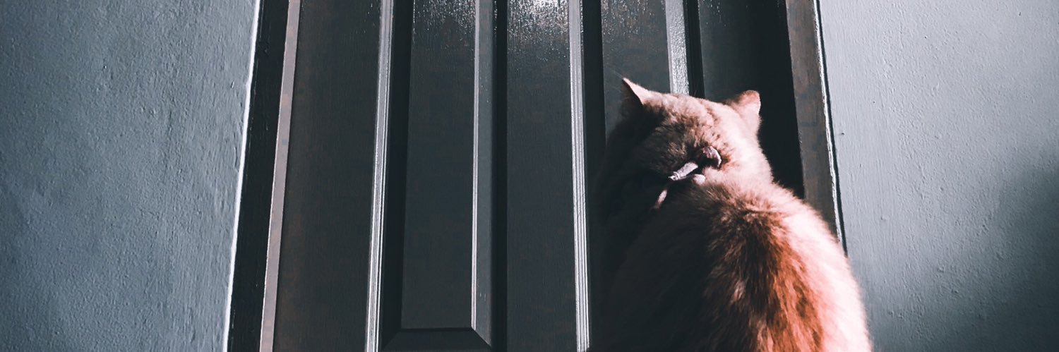 BowzBow's profile banner image