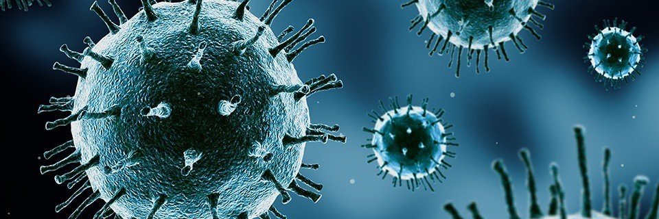 Benjamin Thoreau banner