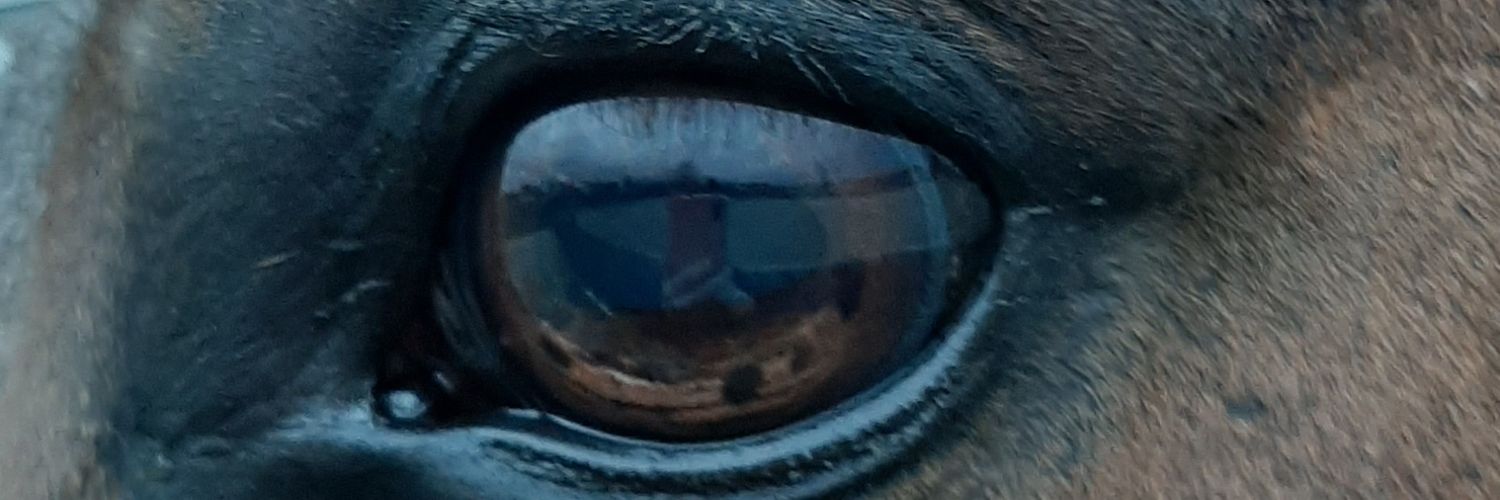only1Cindie's profile banner image