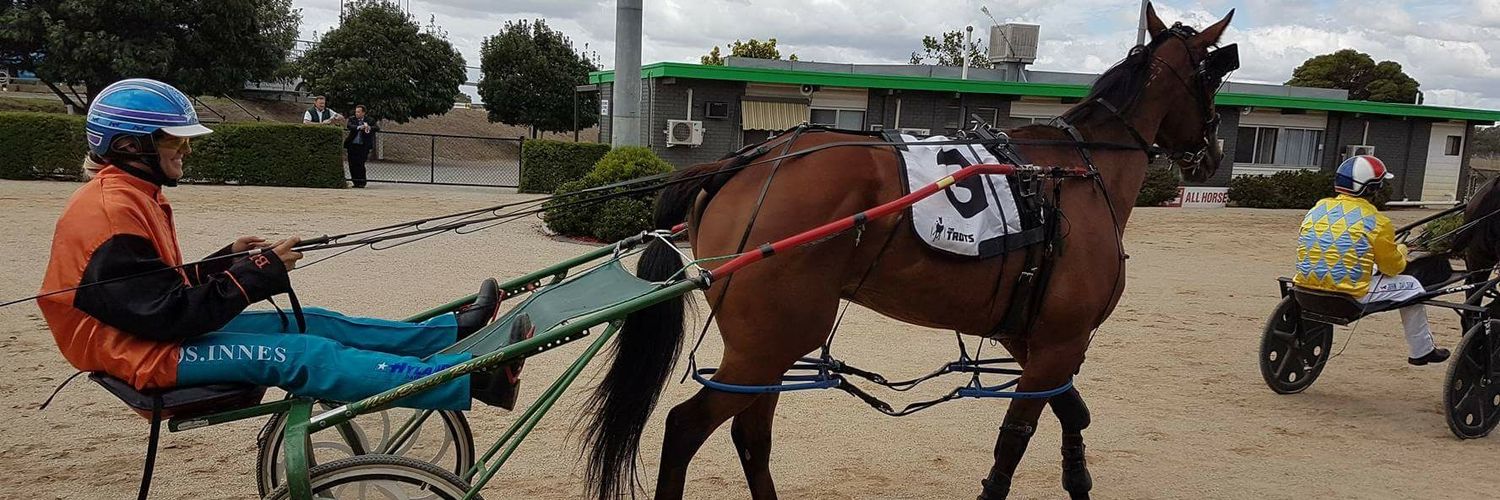 Simone Alyce Innes banner