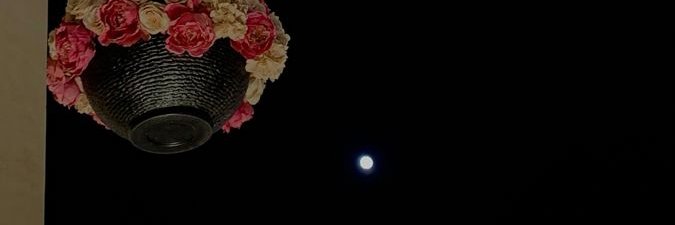 dalia_osm9's profile banner image