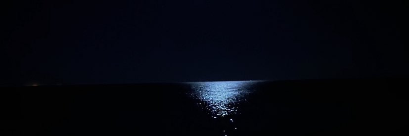 aselyasar's profile banner image
