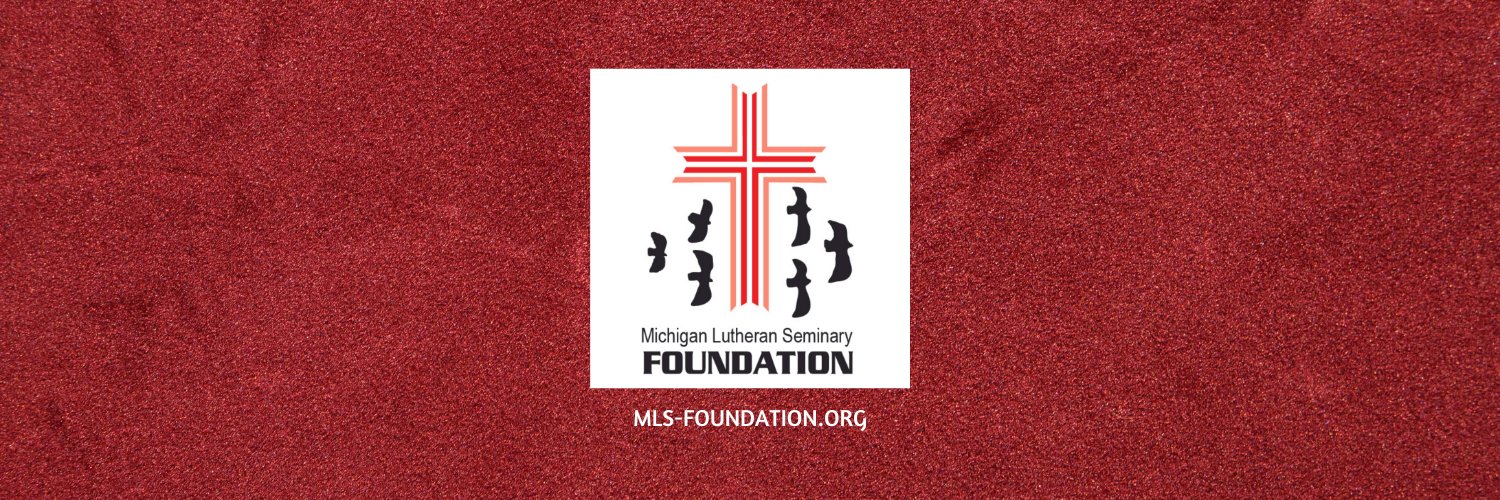 mls_foundation's profile banner image