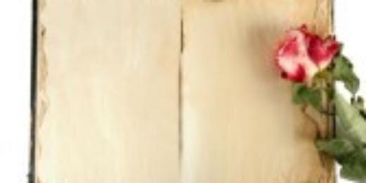 B00k_addict's profile banner image