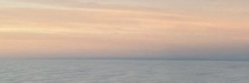 nm_teresa's profile banner image