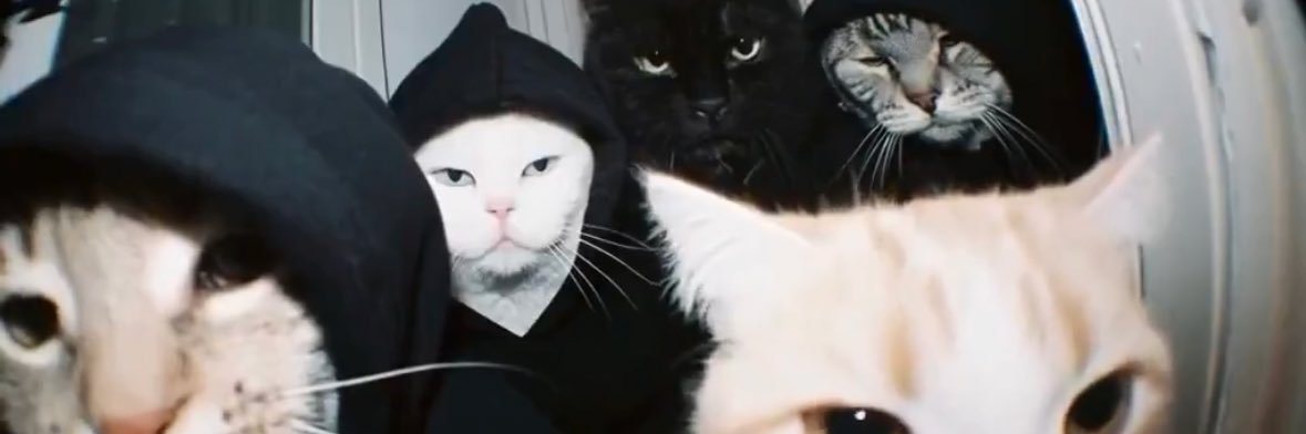 kullcats's profile banner image