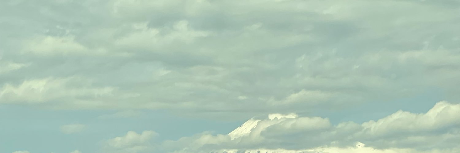 imrin_nir's profile banner image