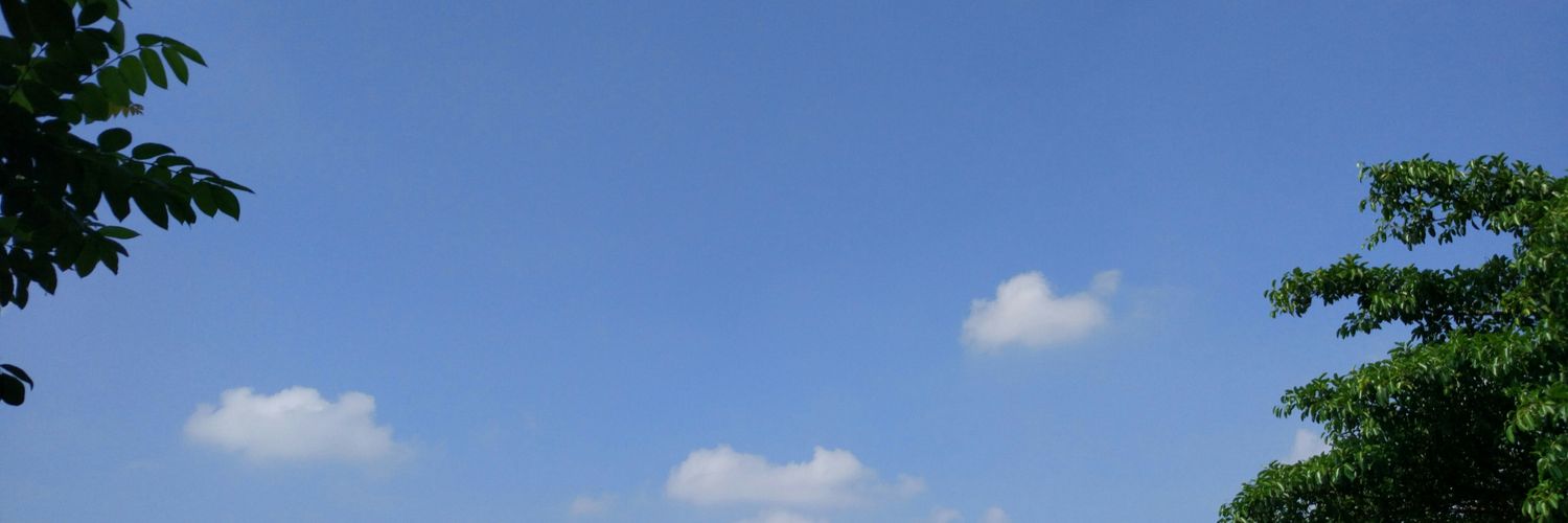 isfeier's profile banner image