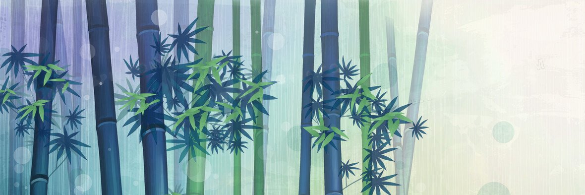 xBenWang's profile banner image
