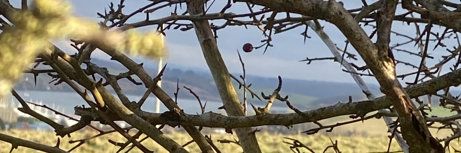 👽CookiesnCream👽 banner