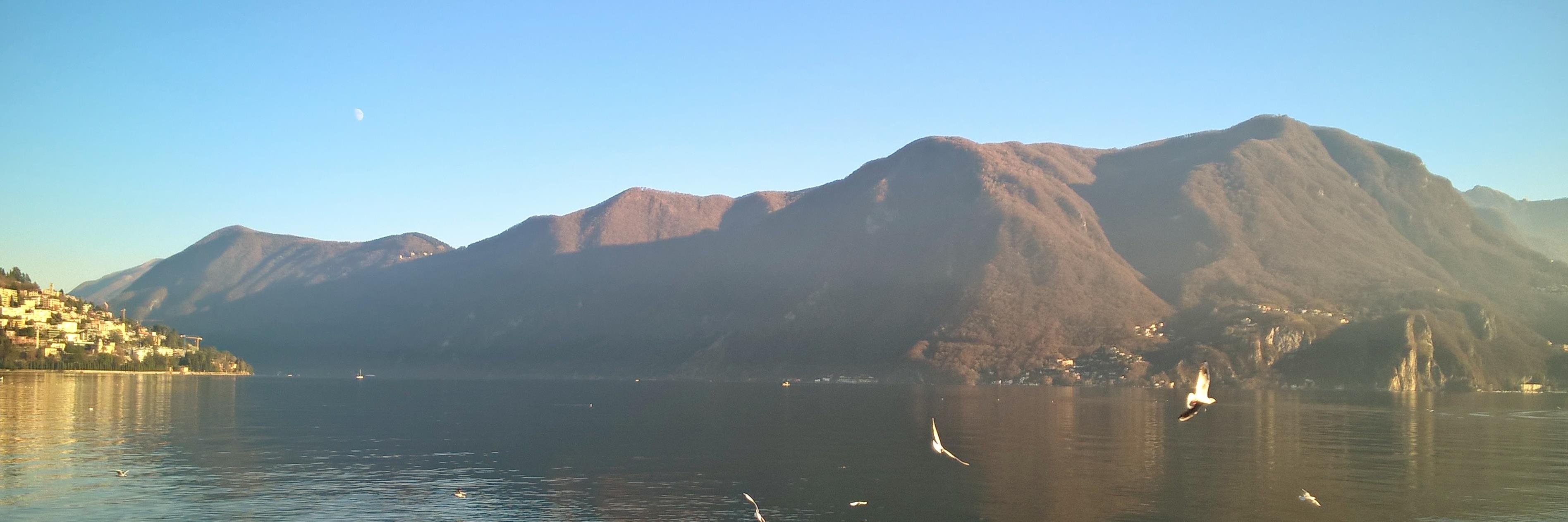 Carlo Rinaldi banner