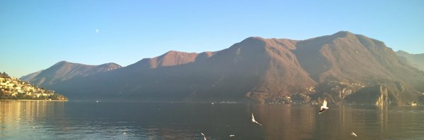 crinal Profile Banner