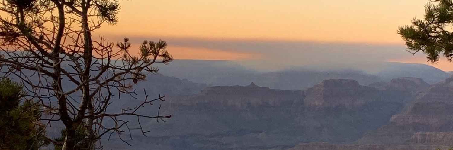 lauriemccd's profile banner image