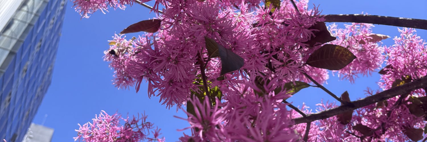 Nat banner