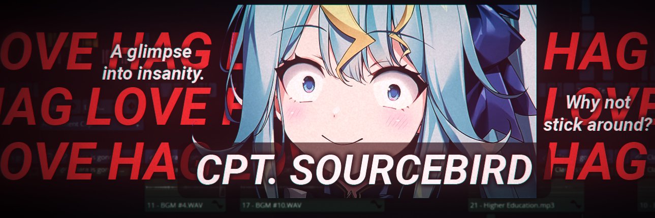 Cpt. Sourcebird @ VGen Open banner